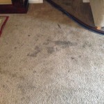 Dirty-Carpet-Tinley-Park-IL