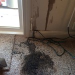 Oil-Stain-Removal-Before-Tinley-Park