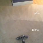 Steam-Carpet-Cleaning-Tinley-Park