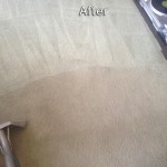 Tinley-Park-Carpet-Cleaning-Company