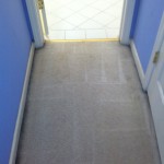 Tinley-Park-Vomit-2-after-carpet